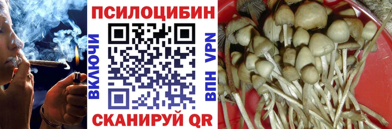 hydra   даркнет сайт  Городище  shop официальный сайт  Галлюциногенные грибы GOLDEN TEACHER 